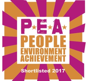 P.E.A. Awards 2017 finalist